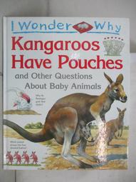 【露天書寶二手書T1/少年童書_EHW】I wonder why planes have wings and other questions about transport 歷史價格詳細信息