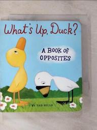 What's Up?(立體書)/Olivia Cosneau and Bernard Duisit【禮筑外文書店】[9折] 歷史價格詳細信息