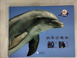 綠色書皮 破破 研究社新英和小辭典 歷史價格詳細信息