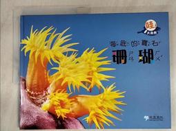 綠色書皮 破破 研究社新英和小辭典 歷史價格詳細信息
