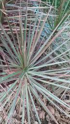 五彩1874年法國大力神5法郎大銀幣 可做壓箱底的老銀266 歷史價格詳細信息