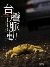 脈動 早教體適能幼兒園學校體測 分體組裝木製平衡木 歷史價格詳細信息