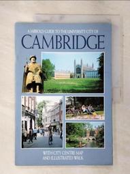 二手Cambridge SoundWorks S200前製喇叭一對(初步測試有聲音輸出歡迎自取看物) 歷史價格詳細信息