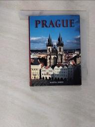 prague 旅行袋小容量防水尼龍布材質輕巧好收納手提肩背斜側背活動長背帶 歷史價格詳細信息