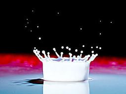 【課程影片 AS_0602】_魅力中國茶_6堂課全集_國家精品課程EWAL_安徽農業大學 歷史價格詳細信息