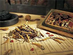 全新影片《食物美學》DVD  兼容理性與神話 美食版《普羅米修斯》 歷史價格詳細信息