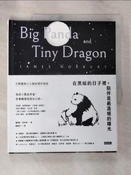 二手書 黑暗的水 書籍 九成九新 歷史價格詳細信息