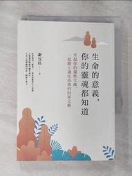 生命的意義，你的靈魂都知道：升起你的靈性天線，一起踏上通往高我的回家之路[二手書_良好]0639 TAAZE讀冊生活 歷史價格詳細信息