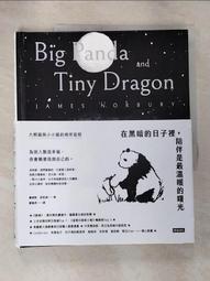 二手書 黑暗的水 書籍 九成九新 歷史價格詳細信息