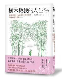 尋木家切菜板防霉抗菌多功能廚房砧板實木竹菜板案板家用面板粘板 歷史價格詳細信息