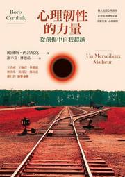 心理韌性訓練：德國心理教練帶你平靜面對每天的挑戰[二手書_良好]9584 TAAZE讀冊生活 歷史價格詳細信息