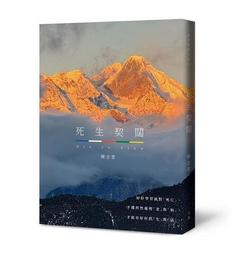 契闊家居 迷你纏枝系列玲瓏青花瓷寶瓶新中式玄關陶瓷小花瓶擺件 歷史價格詳細信息