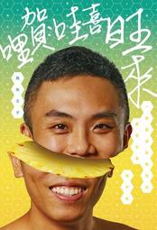 哩扣24年柔霧32K日誌(特價) SDM-276A~D 手帳 行事本 日誌 計畫本【久大文具】0170 歷史價格詳細信息