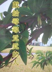 371平頭傢俱螺絲1/4x1/2" 歷史價格詳細信息