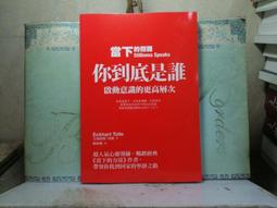 活水書房~二手書-心理勵志-失控的火車頭-從童年經驗解析你的性情-劉修吉-P2-402599 歷史價格詳細信息