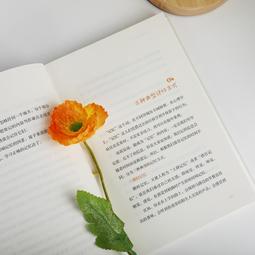 2【成功 勵志】學霸教妳的高效學習法 歷史價格詳細信息