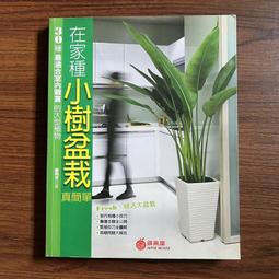 室內在家健身房綜合訓練鞋跑步機專用跳繩專用鞋瑜伽鞋女軟底防滑 歷史價格詳細信息