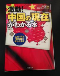 (日文書籍)幻奇島(泛黃、書斑)│西村京太郎│德間文庫│4195672775│小說、書、原文│六成新 歷史價格詳細信息