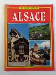 【ALSAE】兒童機車安全帶 摩托車後座安全帶 安全固定帶(車椅安全背帶 可變收納包 聖誕交換禮物) 歷史價格詳細信息