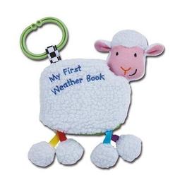 風車-寶寶認知遊戲布骰 歷史價格詳細信息