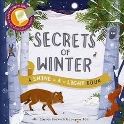 Secrets of Winter (透光書6) (平裝本)【禮筑外文書店】[79折] 歷史價格詳細信息