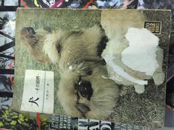 展示品 原文日文書 昭和の花サボテン 作出者伊藤芳夫 先生の花 歷史價格詳細信息