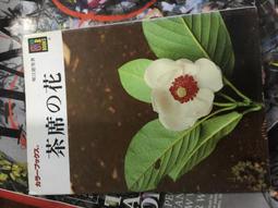 展示品 原文日文書 昭和の花サボテン 作出者伊藤芳夫 先生の花 歷史價格詳細信息