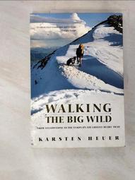 (二手)The big silver book of Russian verbs俄文動詞 歷史價格詳細信息