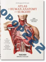 Anatomy for Artists: A visual guide to the human form 歷史價格詳細信息