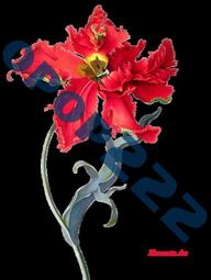 Flower花漾《現貨》日本迪士尼商店 正版 小鹿斑比小精靈艾莉絲愛麗絲 造型便條紙 小鏡子摺疊鏡隨身鏡 紙條 飾品盒 歷史價格詳細信息