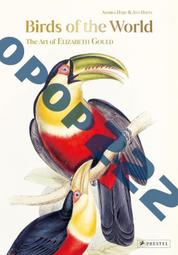 英版 Concept Cars of the 1960s 1960年代的概念車 昨天的未來 歷史價格詳細信息