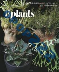 【植物灌溉】兩用雙頭澆花器-2入(灑水器 澆水 滴水器瓶蓋頭 噴頭 植物盆栽 懶人澆花 園藝用品 花灑) 歷史價格詳細信息