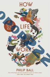 英版 Concept Cars of the 1960s 1960年代的概念車 昨天的未來 歷史價格詳細信息