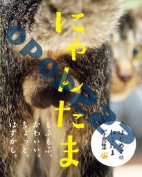【日本にゃん屋】茶柴部長A4帆布托特包 手提袋 肩背袋 外出袋 購物袋 交換禮物-丹尼先生日式雜貨舖 歷史價格詳細信息