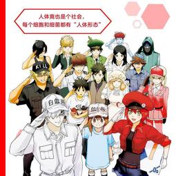 工作細胞正版周邊文件夾血小板紅白細胞動漫a4資料學生辦公文具袋 歷史價格詳細信息