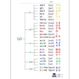 英語單詞本a4活頁可拆卸加厚考研單詞積累本艾賓浩斯遺忘曲線記憶活頁手賬本內頁手帳-鑫星精選 歷史價格詳細信息