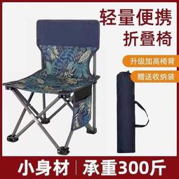 小巧輕便便攜式折疊椅/休閒椅/露營椅(3色可選) 歷史價格詳細信息
