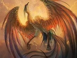 全新影片《廚神老爹》DVD 傑森沃洛斯 東尼丹尼森 約翰派翠克阿默多利 坎迪絲菲 麗莎羅通蒂 歷史價格詳細信息