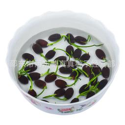 ⑧比????花梨木實木茶葉罐茶罐罐子中式沉香 檀香 罐儲存罐收納盒子盤香 木筒wrgy 歷史價格詳細信息