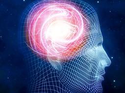 全新影片《醫學大挑戰 I  》7DVD 共210分(14單元)介紹關於醫師和患者與疾病奮鬥的歷程，其過程是令人驚嘆且動容 歷史價格詳細信息