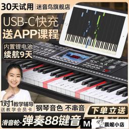 電子琴兒童成人初學者入門成年家用幼師鋼琴61鍵電鋼琴官方旗艦店-泡芙吃奶油 歷史價格詳細信息