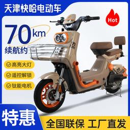 國標電動車鋰 電池48V60V72V大容量長跑磷酸鐵鋰賣二三輪電瓶車 歷史價格詳細信息