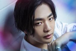 【預購】Brook Xone SE 轉接器 菁英2代 XSX/S手把 轉 X1 / P4 / Switch【電玩國度】 歷史價格詳細信息