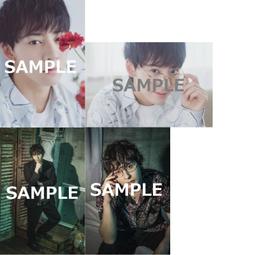 ■預購■『Animate』特典｜Stage Grand Prix vol.19 通常版、限定版 可選 （附：寫真卡組）。 歷史價格詳細信息