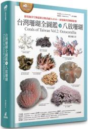 [65折]Neighborhood Adidas 聯名 UltraBoost19 NBHD 運動慢跑鞋 男 FU7312 歷史價格詳細信息