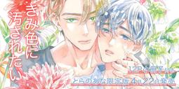 サガミ ALL YOU NEED IS LOVE 催情噴霧 歷史價格詳細信息