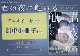 夜君~緬甸玉一生平安吊飾~水晶/天然/A貨/平安/開運/貴人/招財/避邪/可開光 歷史價格詳細信息