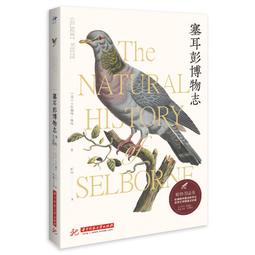圖鑒版 瓦萊帕徐祝老人 銅點料 2521年 小供奉 儲蓄老人4985 歷史價格詳細信息