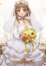 【海豚】『現貨』孤獨搖滾！　Re:結束バンド 特典明信片+A4資料夾　小孤獨　虹夏　涼　喜多 歷史價格詳細信息