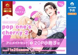 【代購】Air Jordan AJ11 "Cherry" 櫻桃 白紅 冰底 高幫實戰籃球鞋CT8012-116男鞋 歷史價格詳細信息